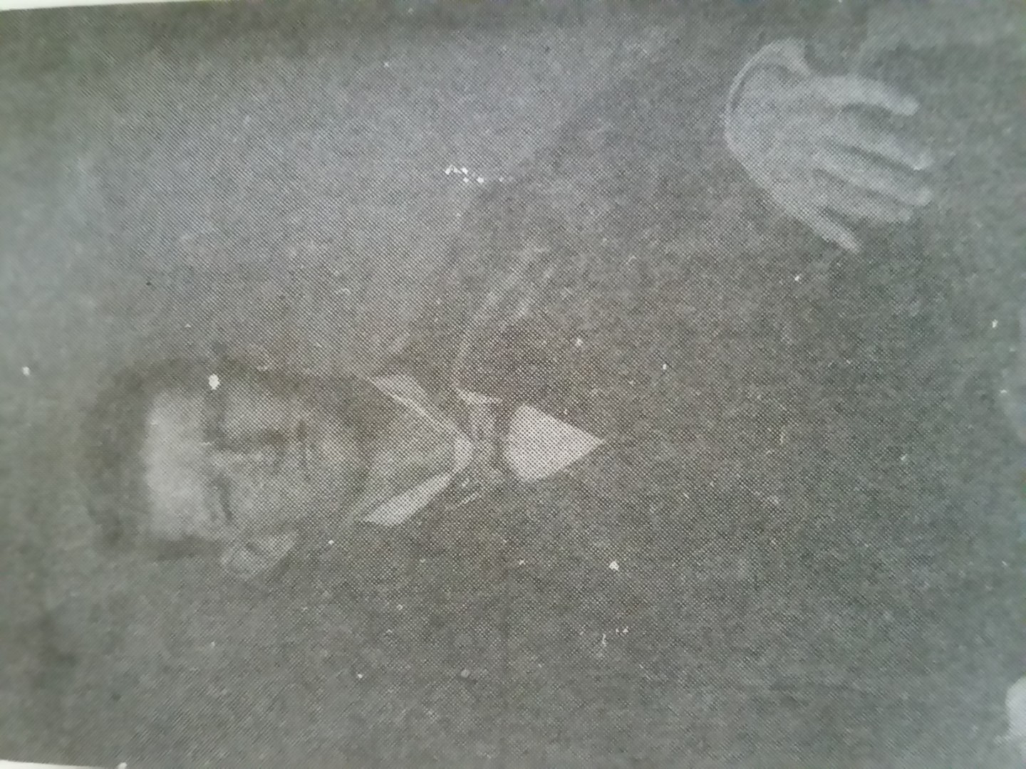Travis Alexander Flournoy (1866-1928)
